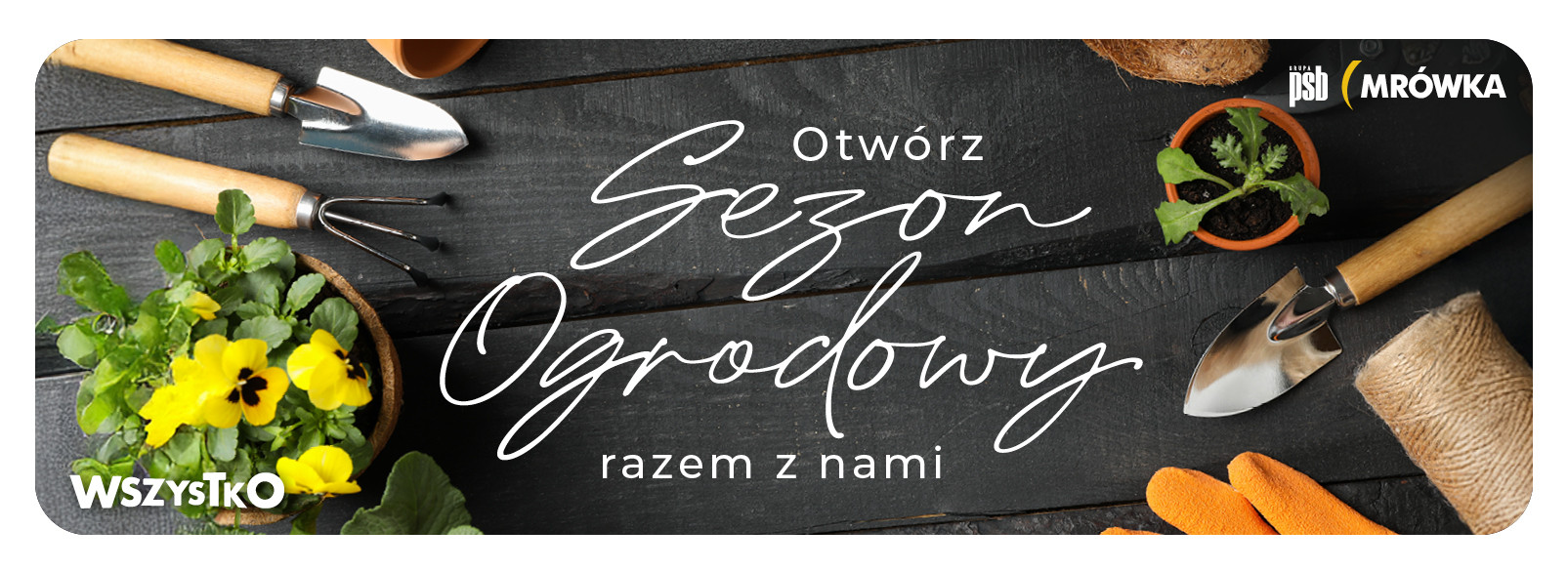 Grupa PSB mrowka PSB GIPS System